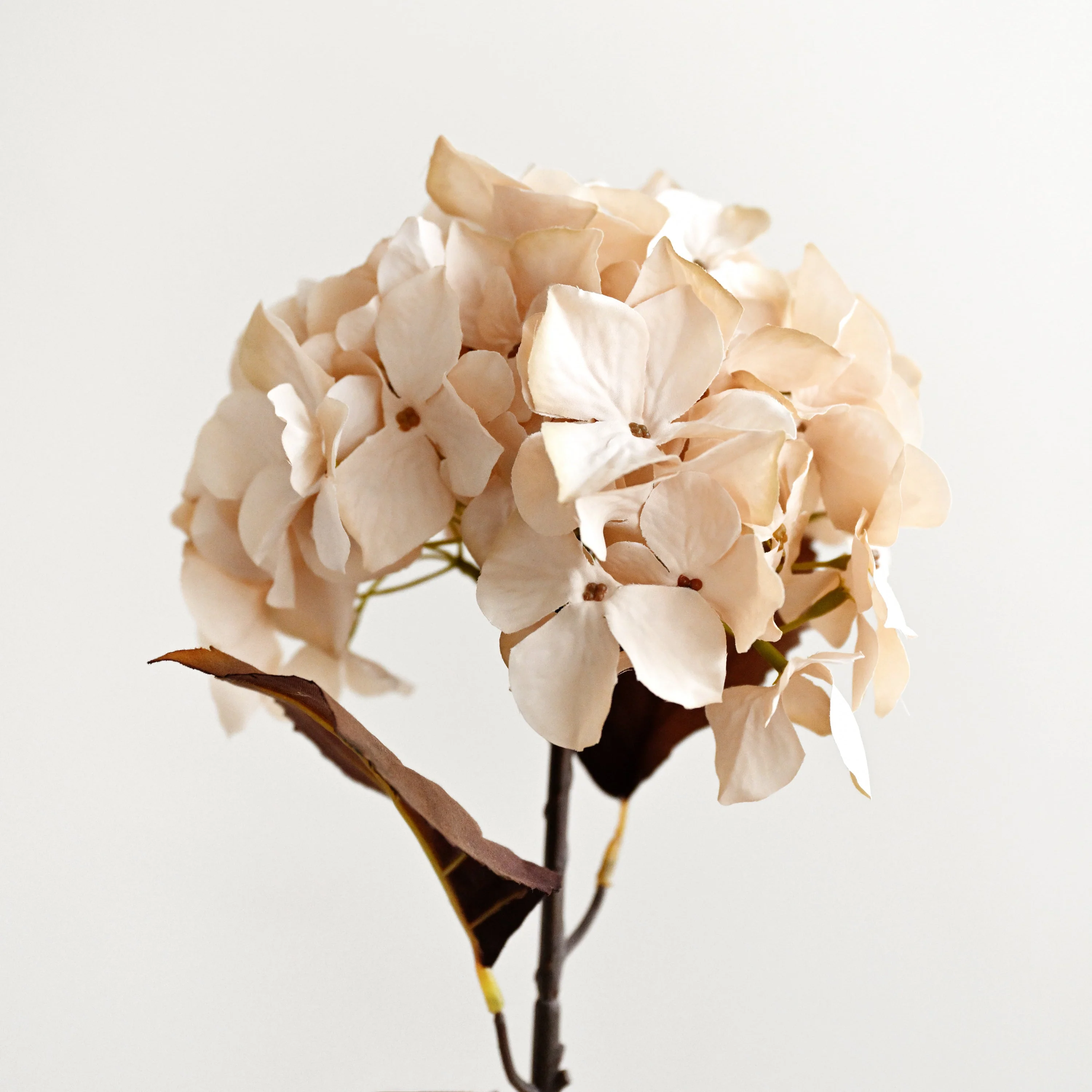 Artificial Hydrangea Stem - Natural - Image 3
