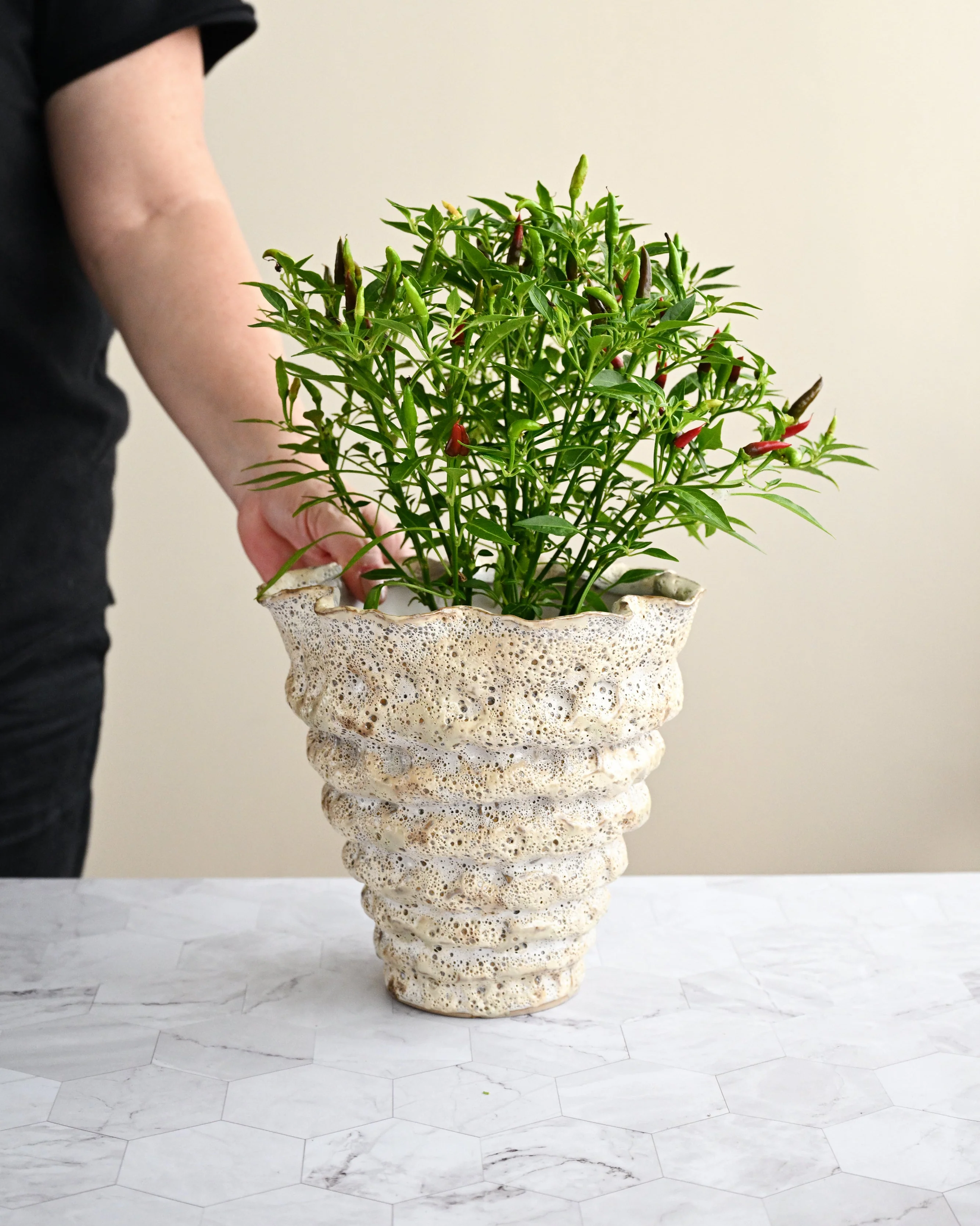 Colleen Flowerpot