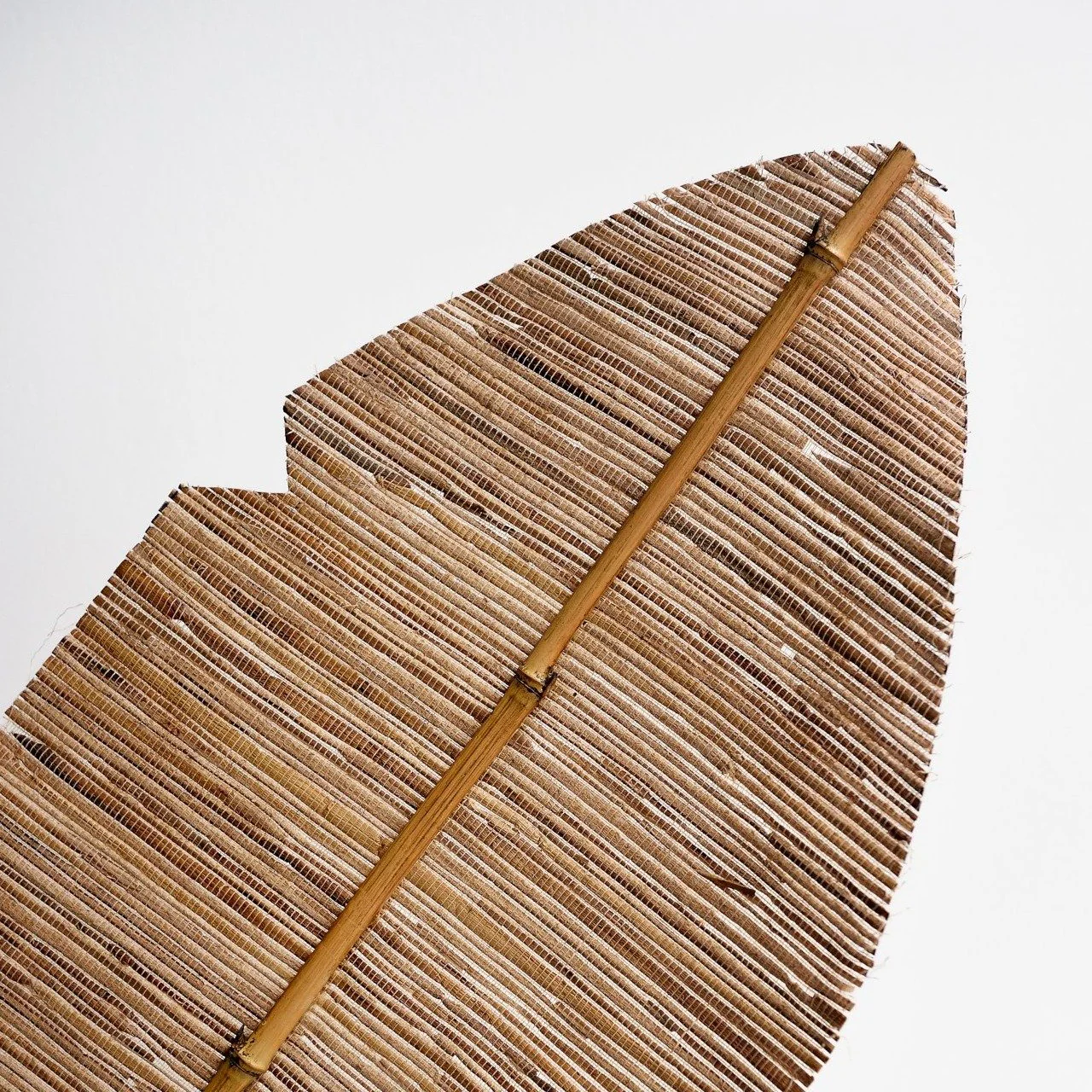 Dried Banana Leaf Decor - Image 3