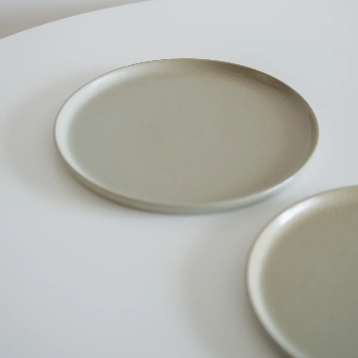 Matte Fernwood Dinner Plate - Image 4