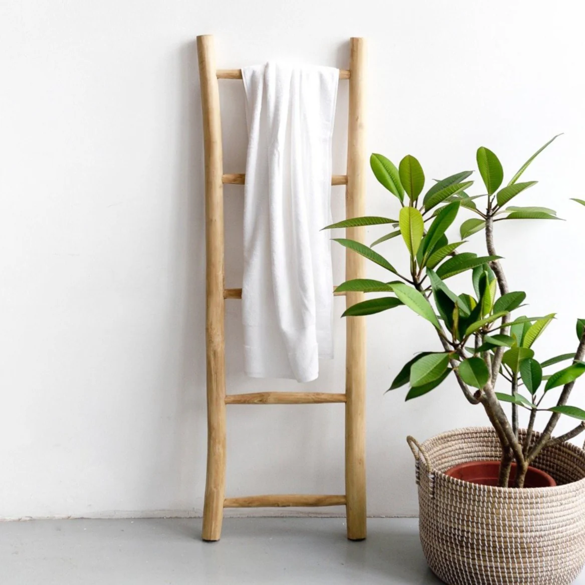 Natural Teak Ladder - Image 3