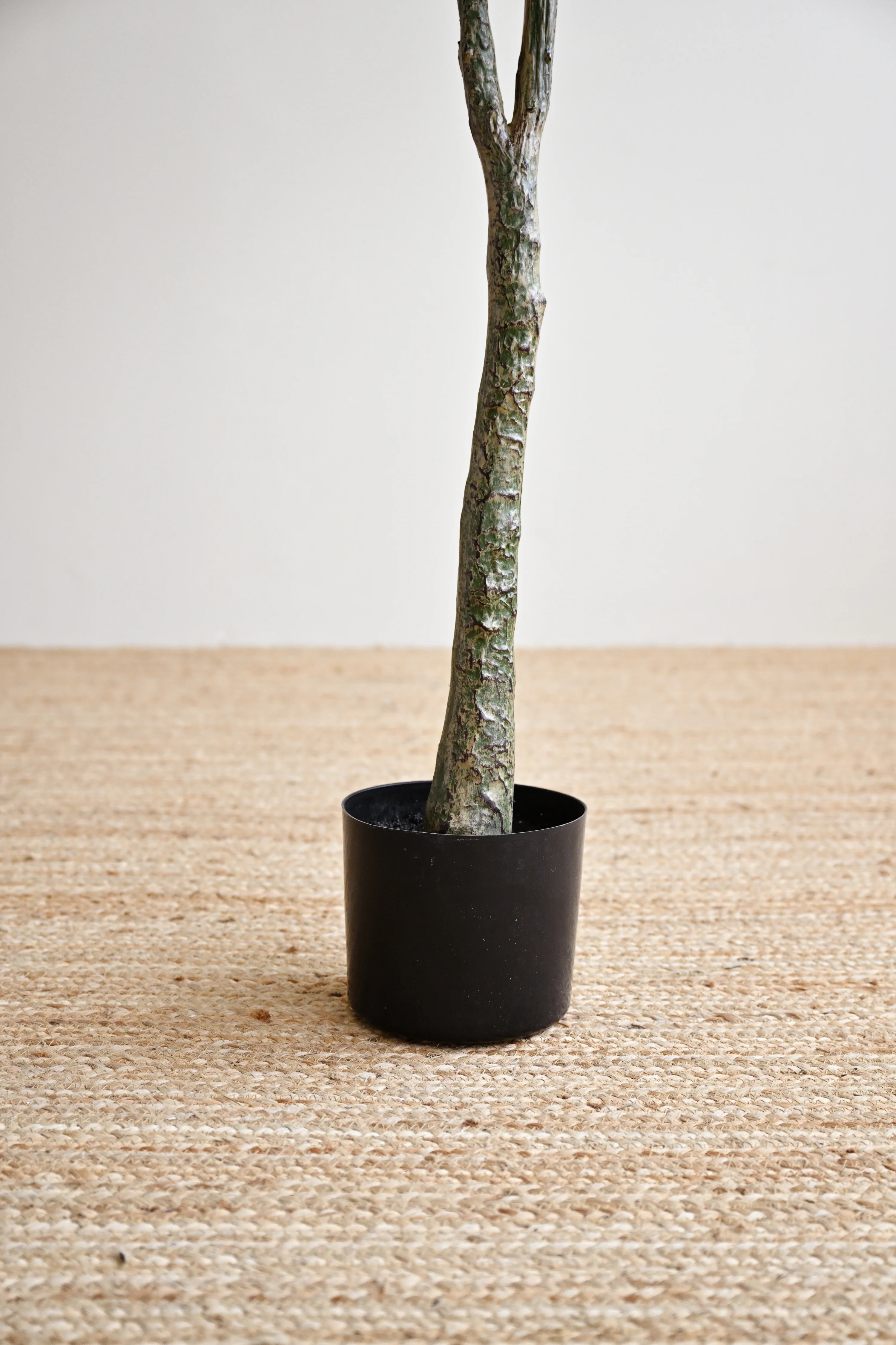 Olive Plant Tree - Faux - Image 5