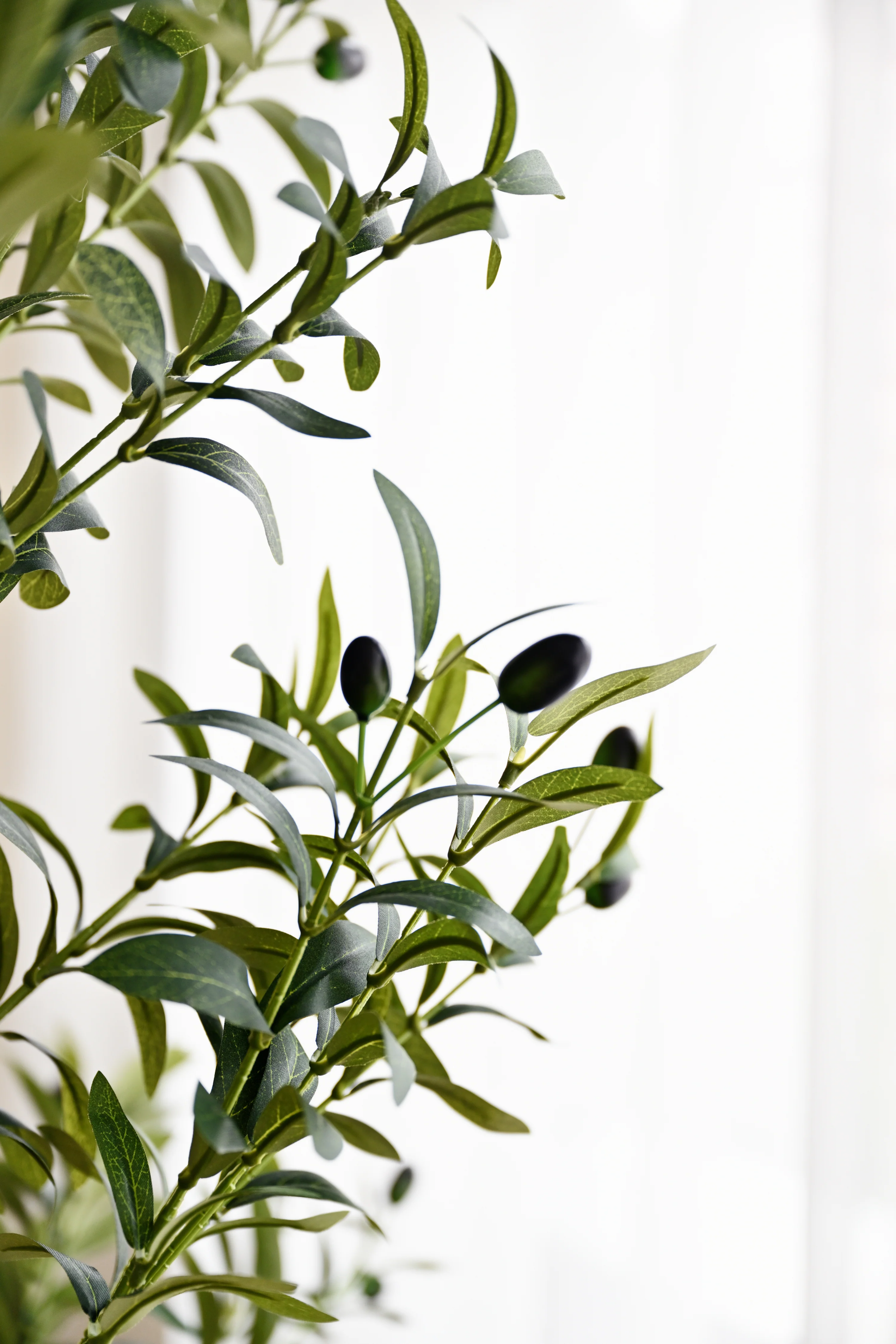 Olive Plant Tree - Faux - Image 6
