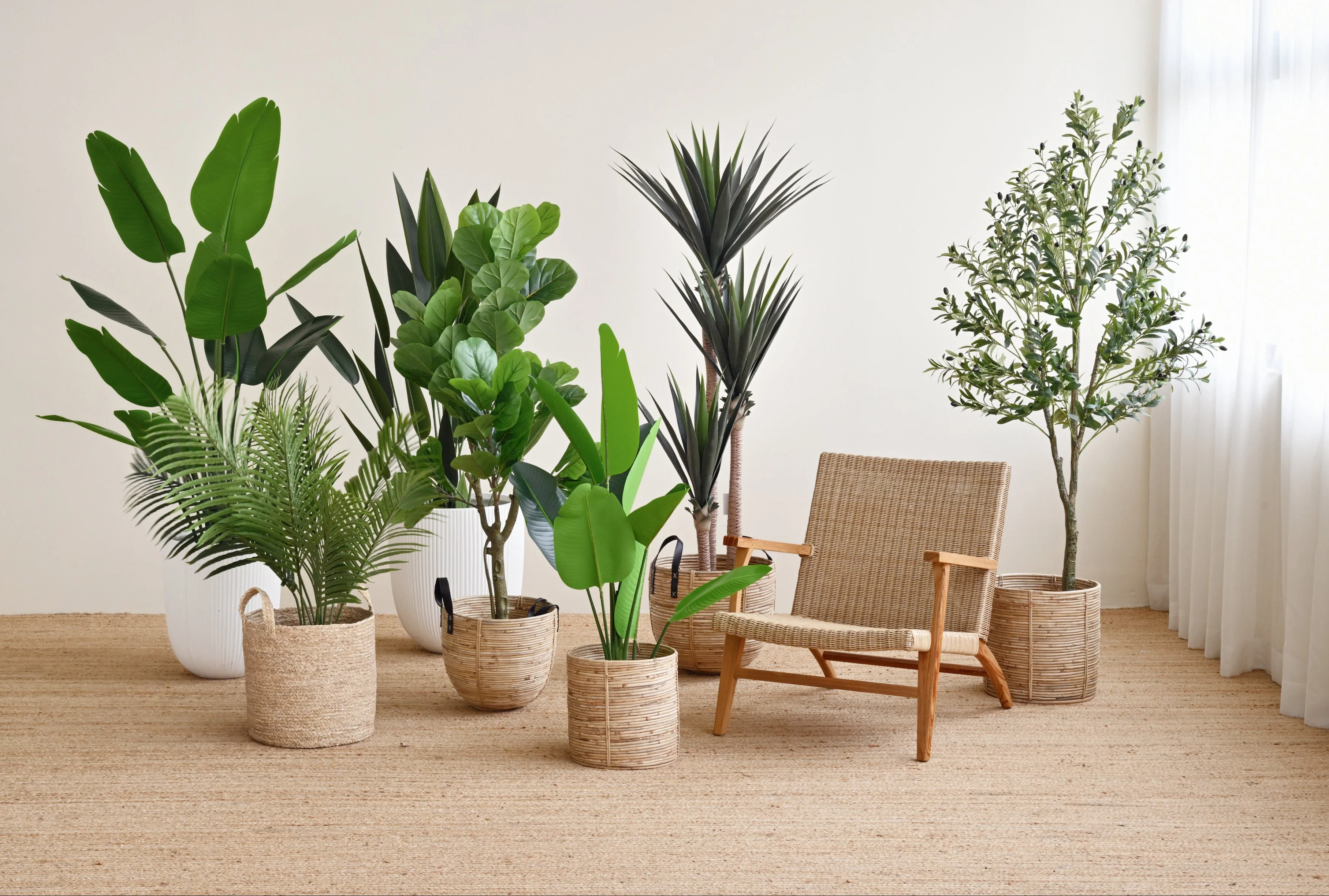 Olive Plant Tree - Faux - Image 7
