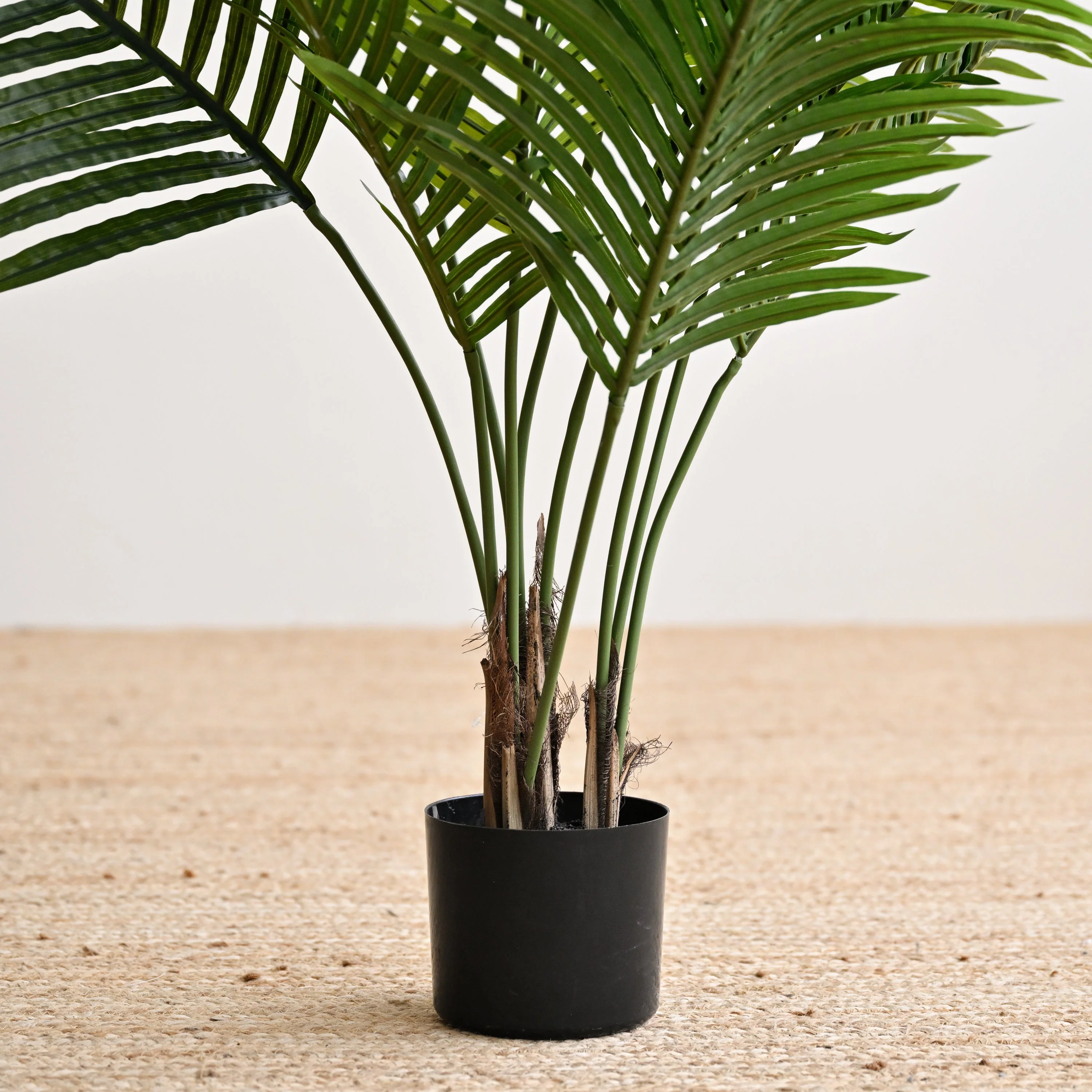 Palm Tree Plant - Faux - Image 4