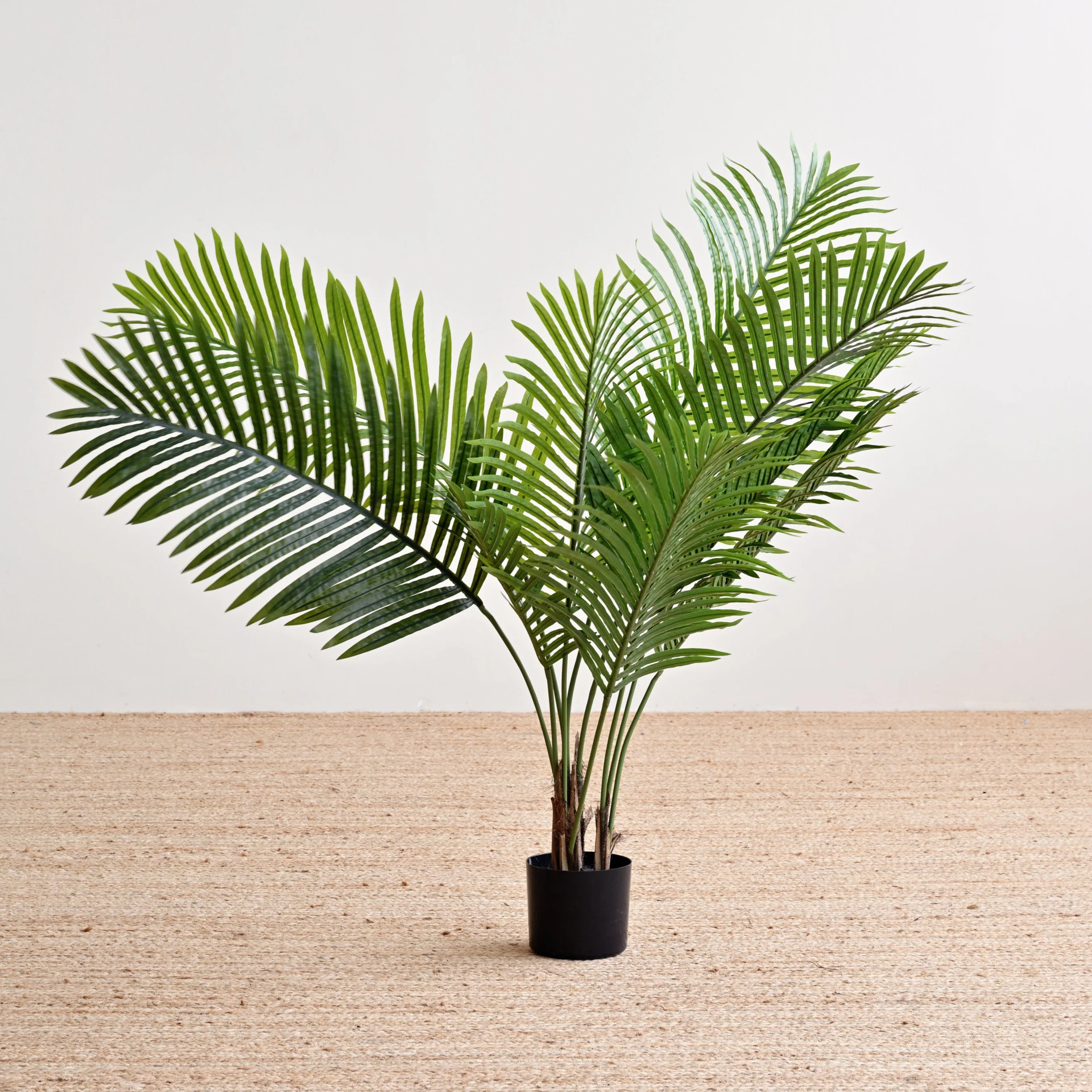 Palm Tree Plant - Faux - Image 5