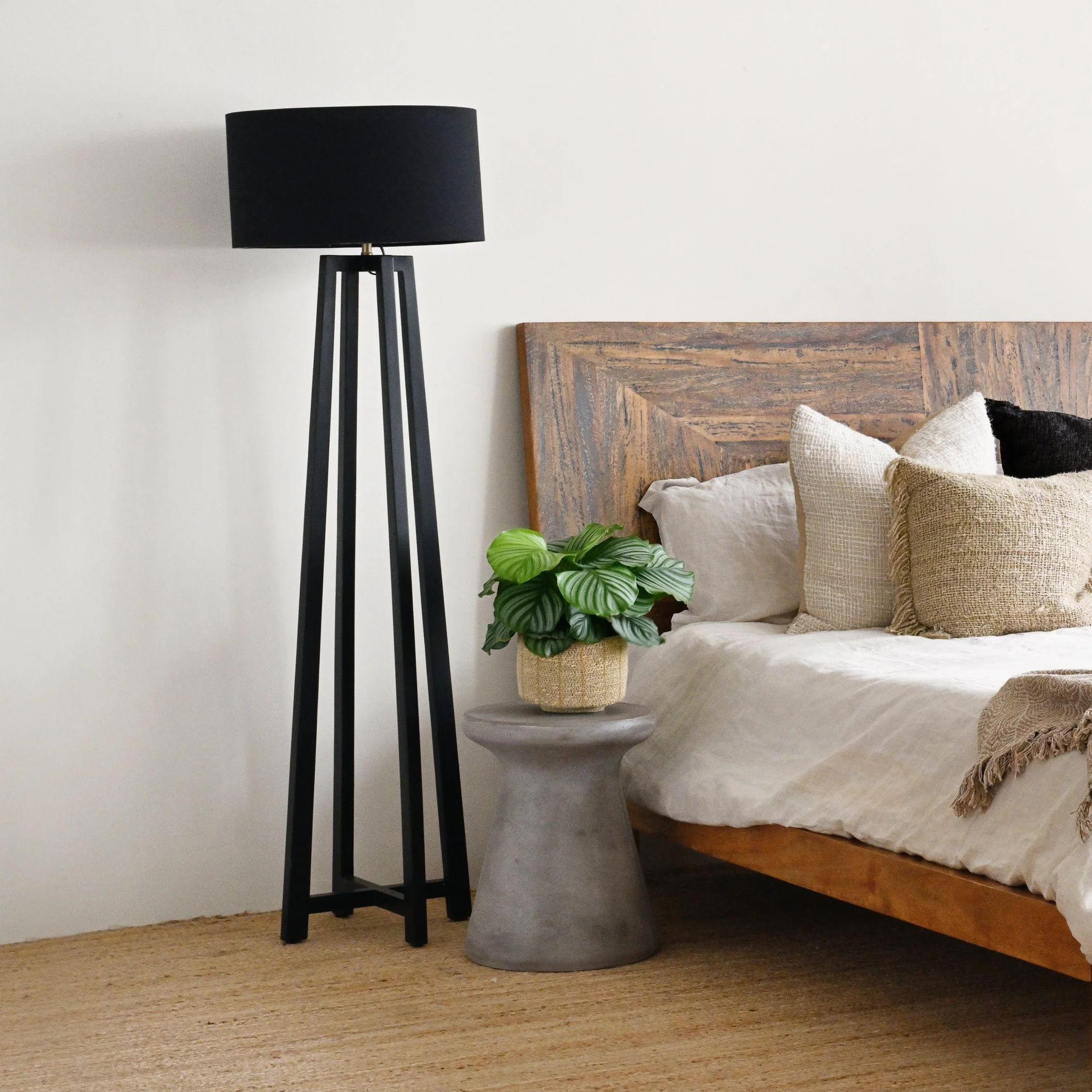 Phyto Lamp - Black - Image 3