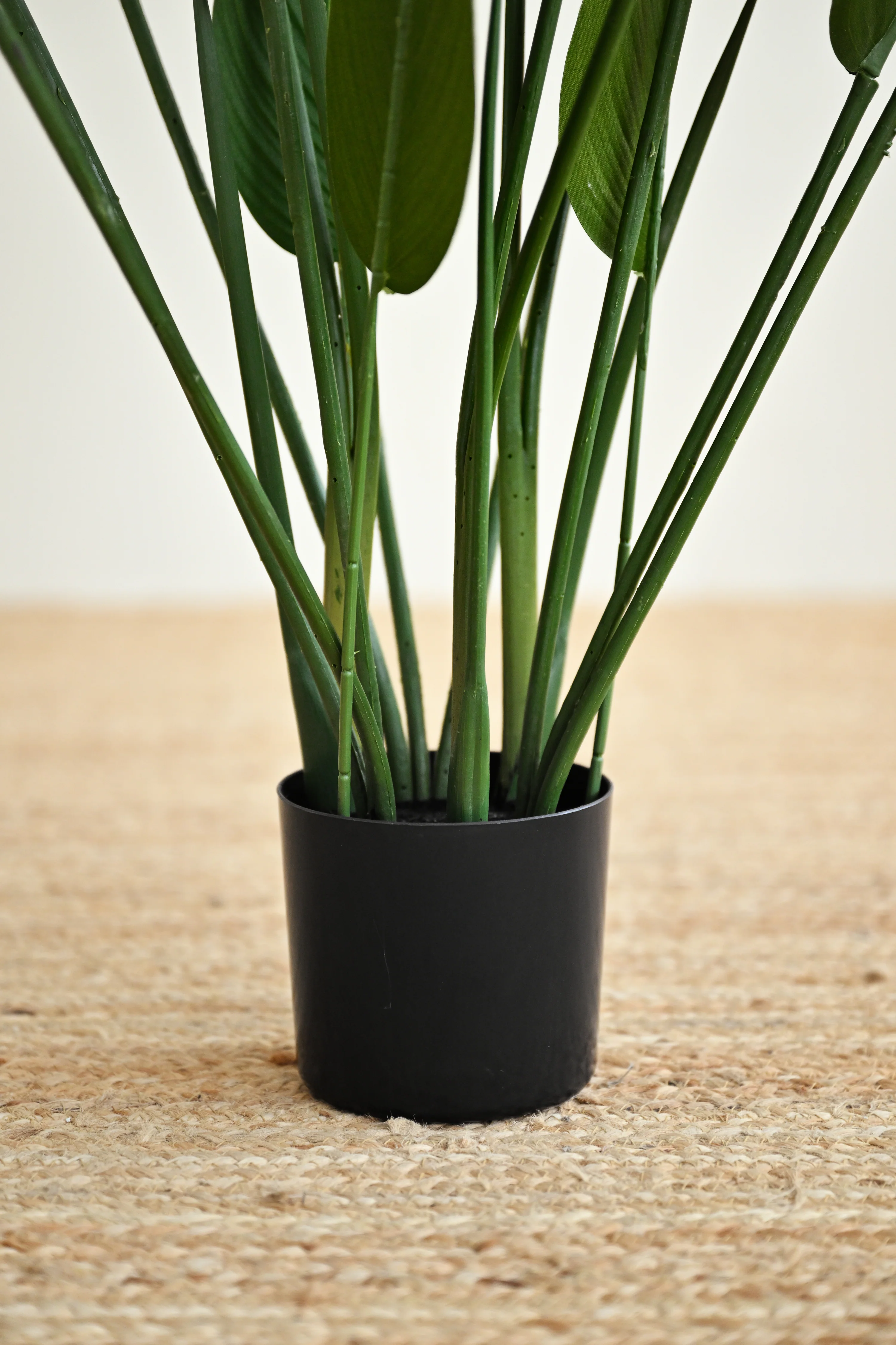 Sky Bird Plant - Faux - Image 3