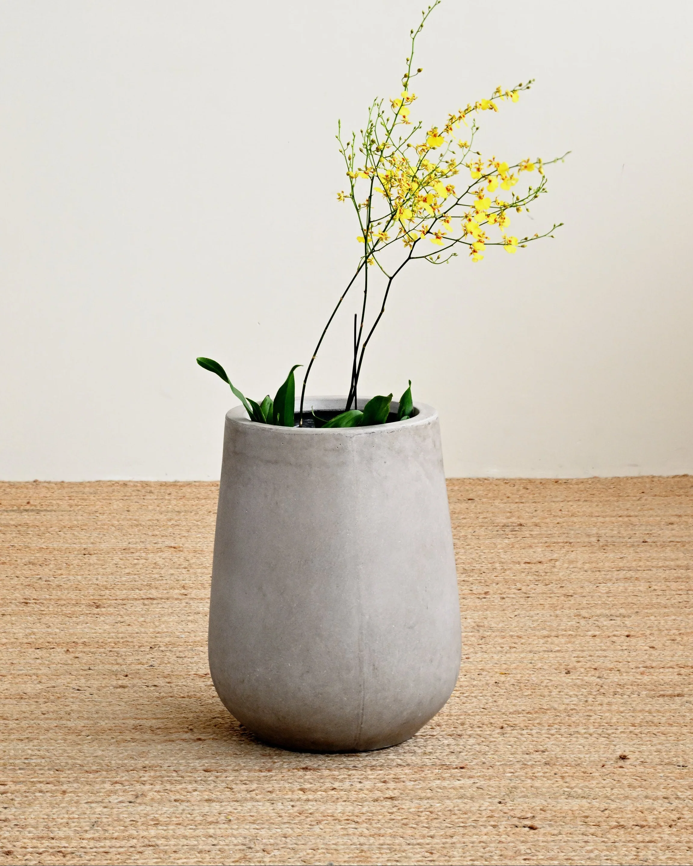 Tulip Maya Pot - Image 2