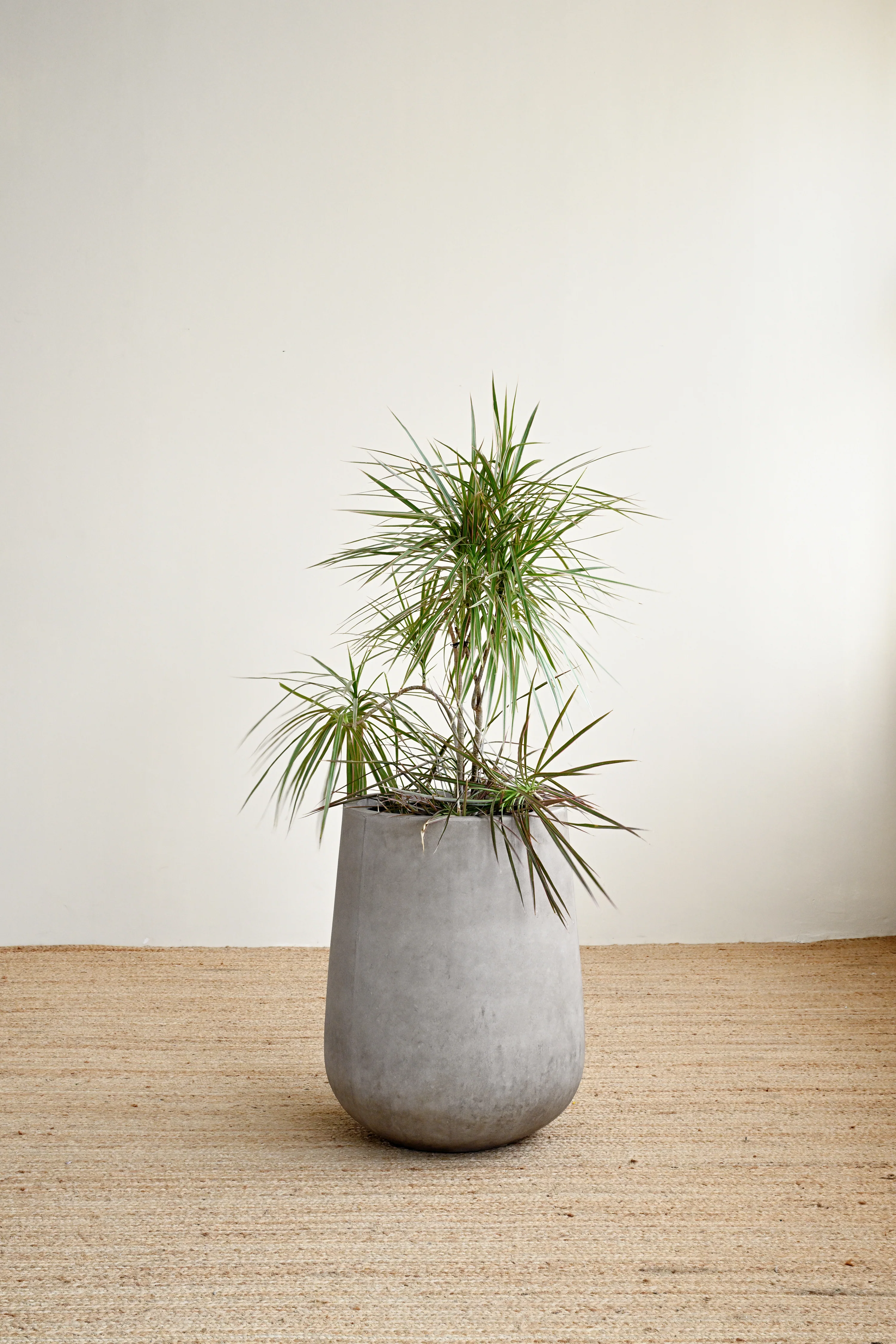 Tulip Maya Pot - Image 3