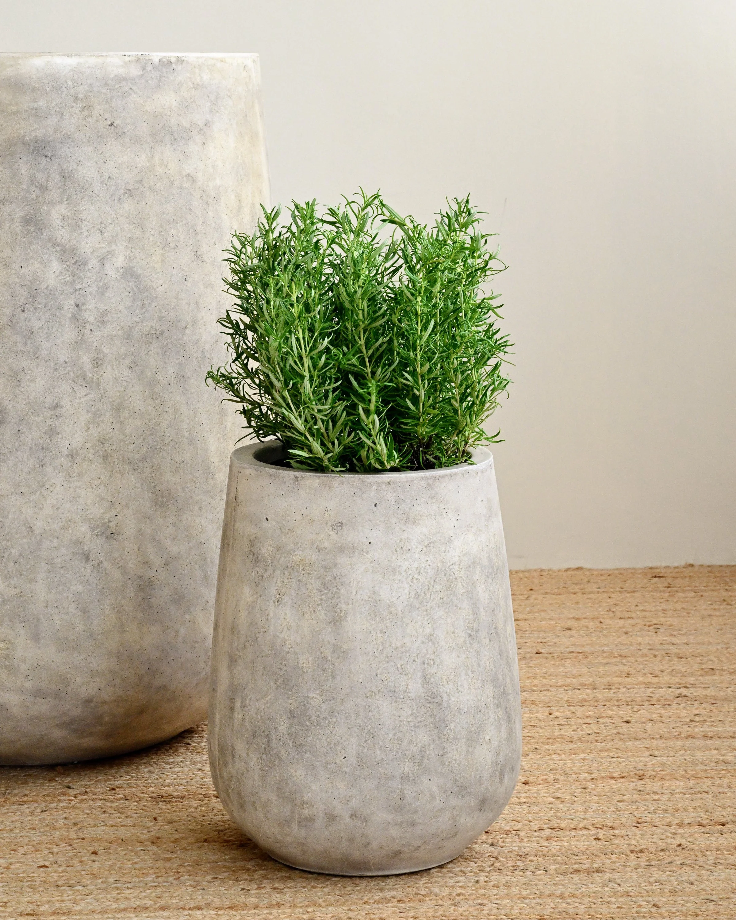 Tulip Oyster Pot - Image 4