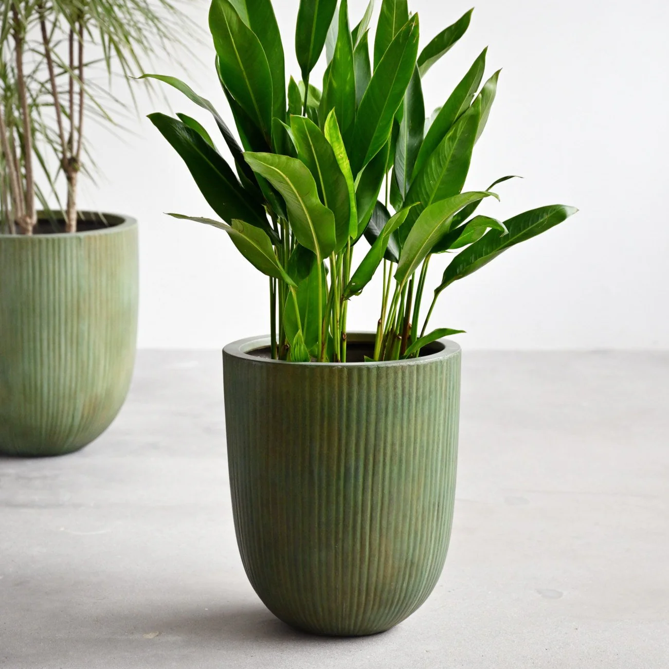 Vinh Concrete Pot - Copper Green - Image 5