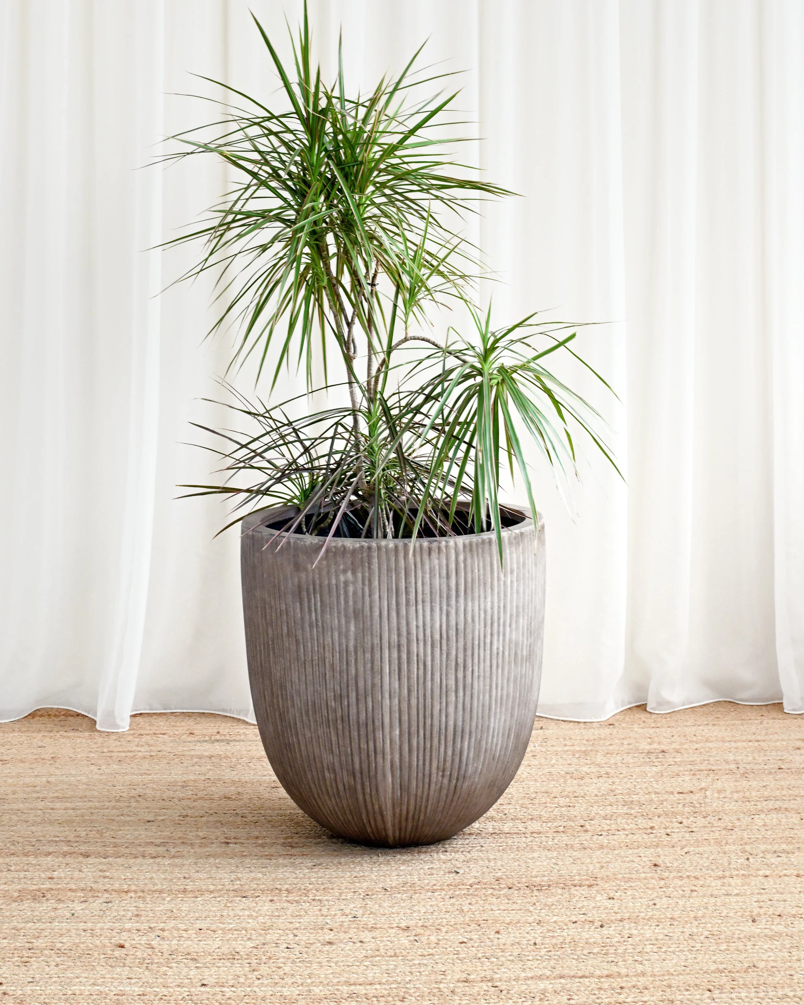 Vinh Concrete Pot - Maya - Image 2