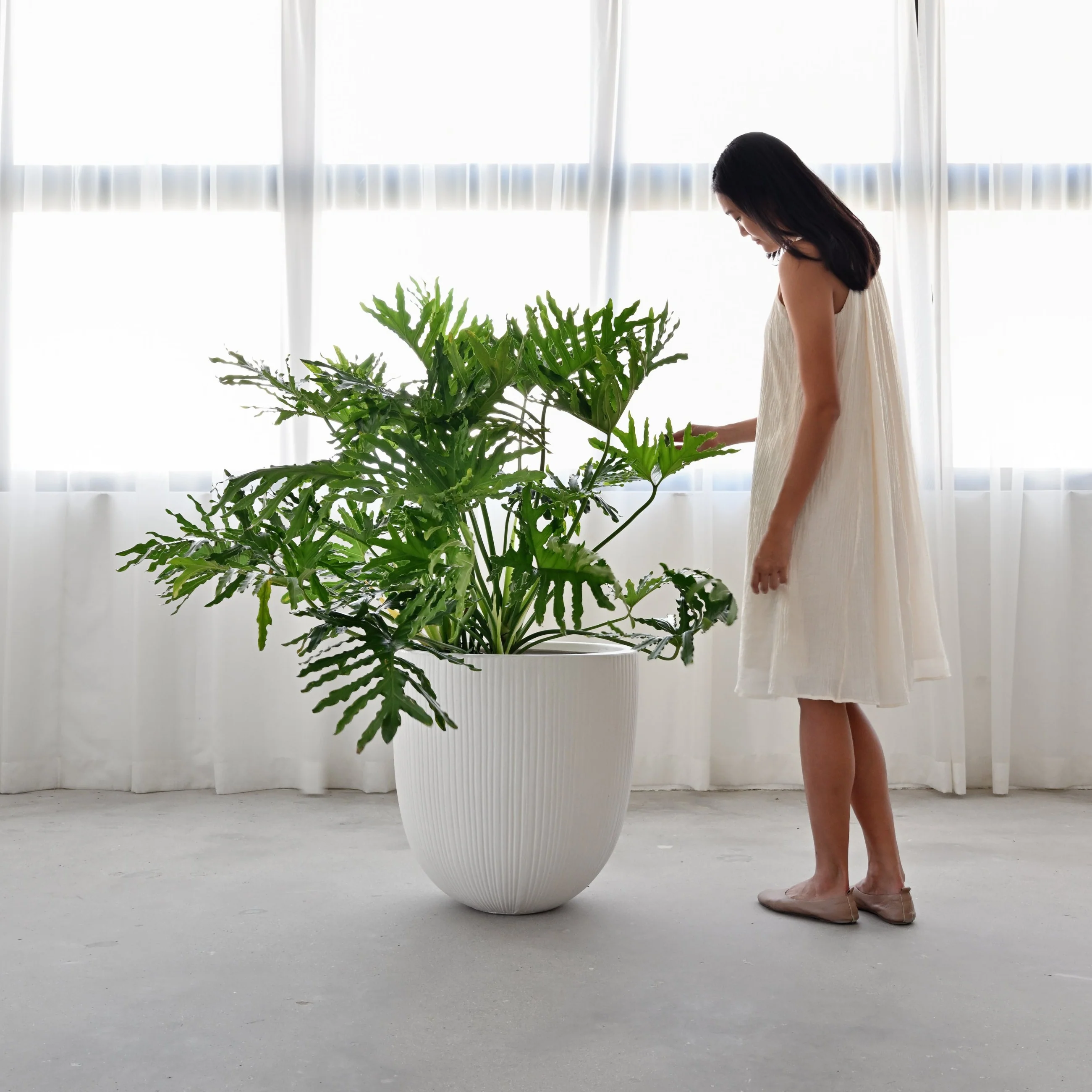 Vinh Concrete Pot - White - Image 5