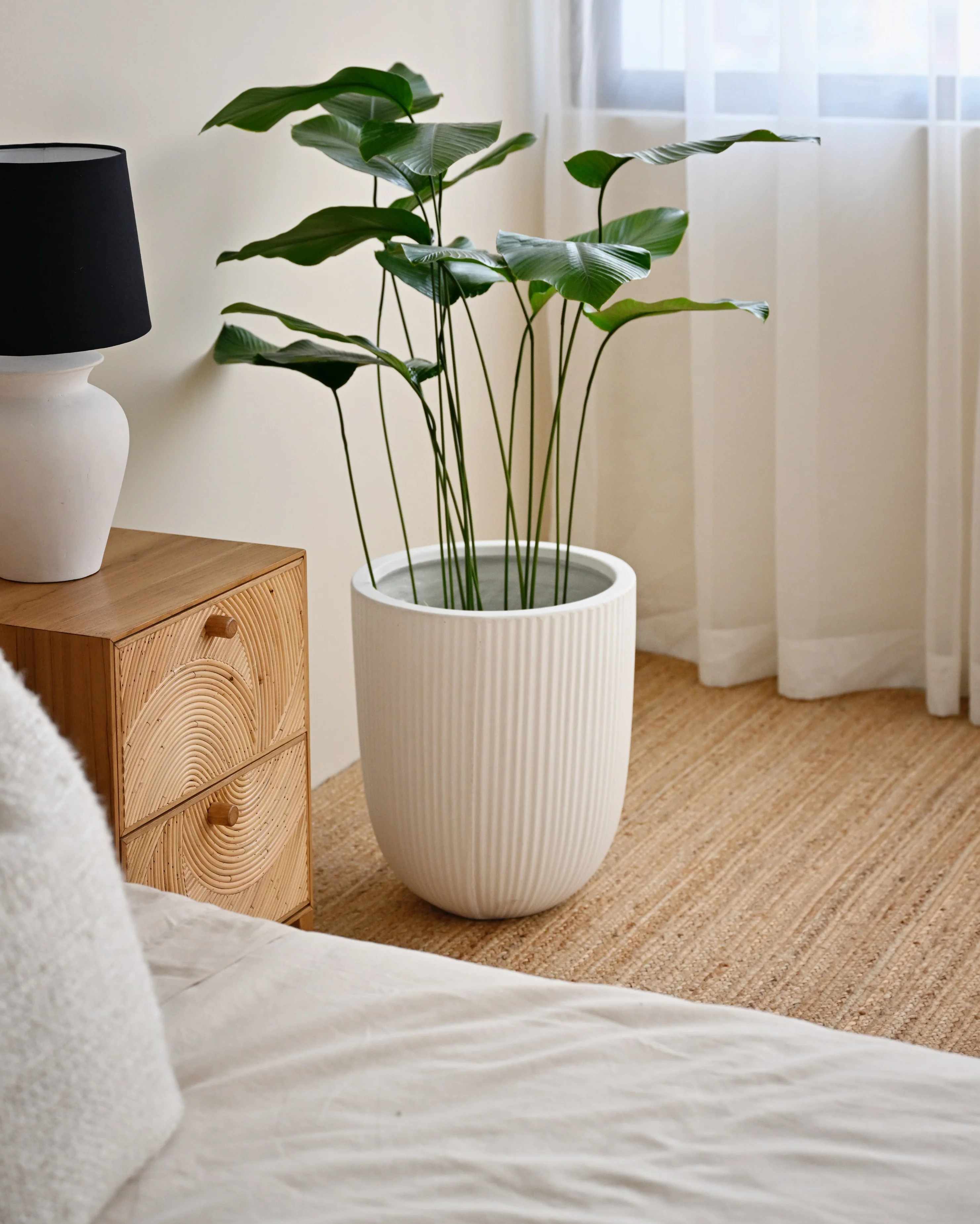 Vinh Concrete Pot - White - Image 6