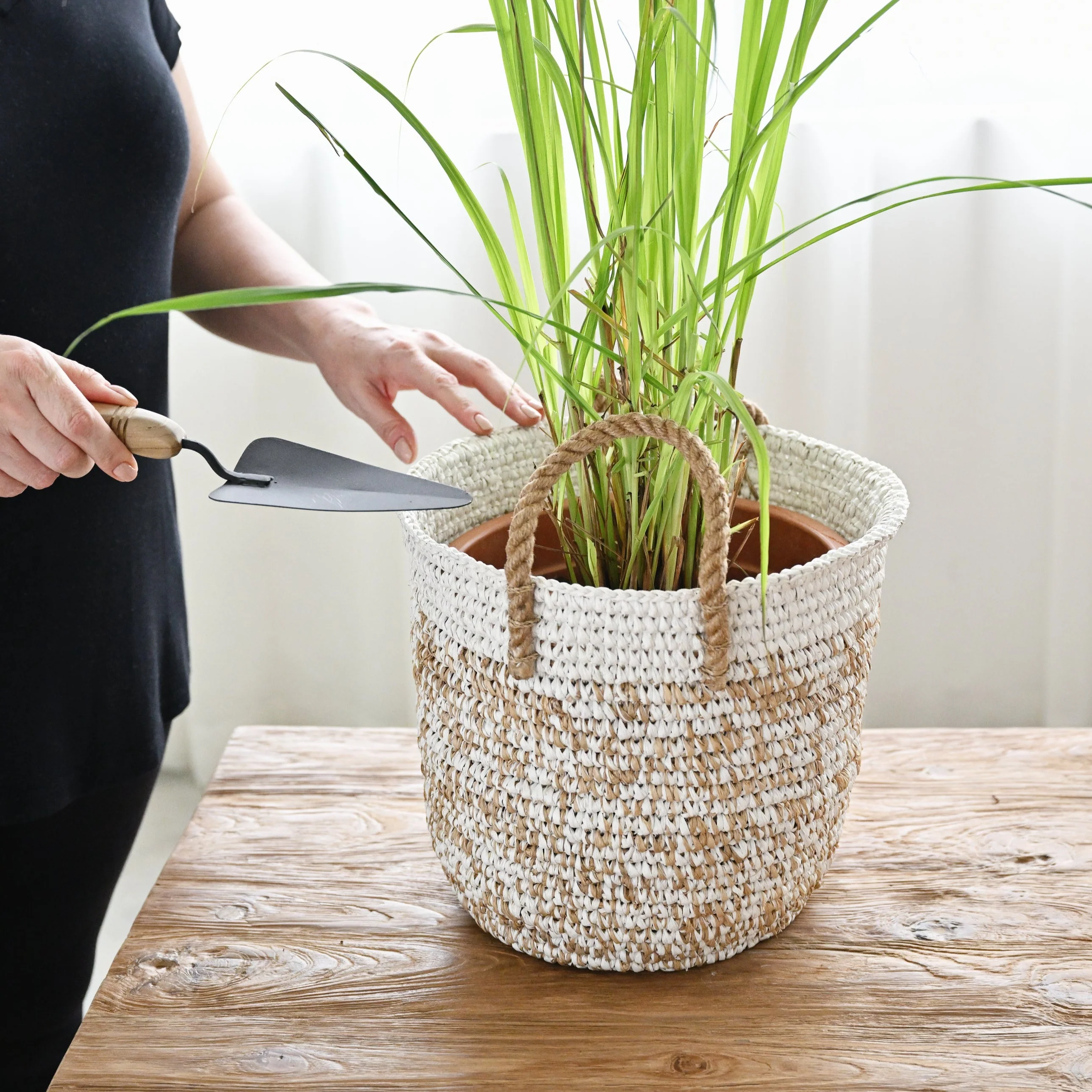 Sentosa Water Hyacinth Basket - Image 9