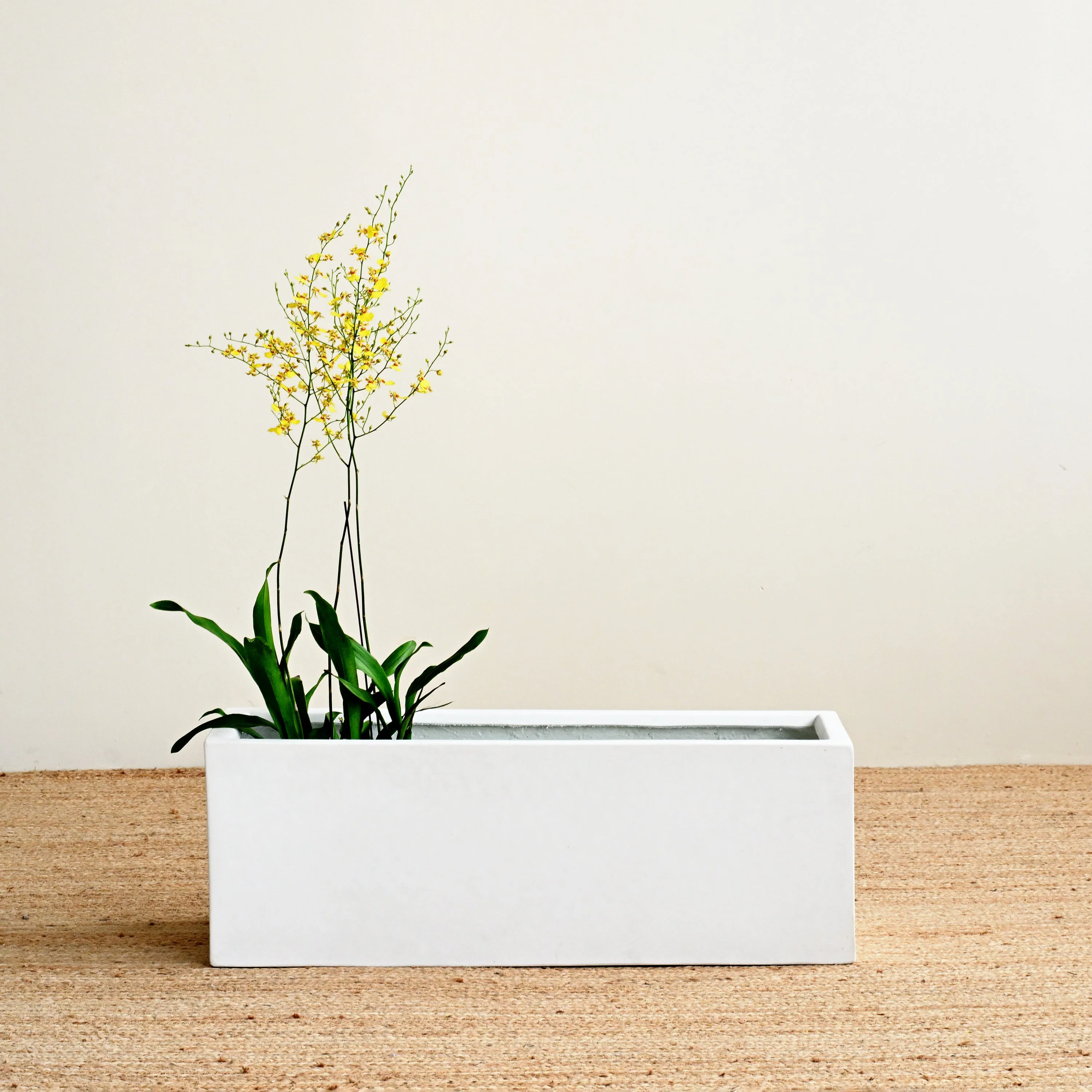 White Rectangle Planter Box - Image 3