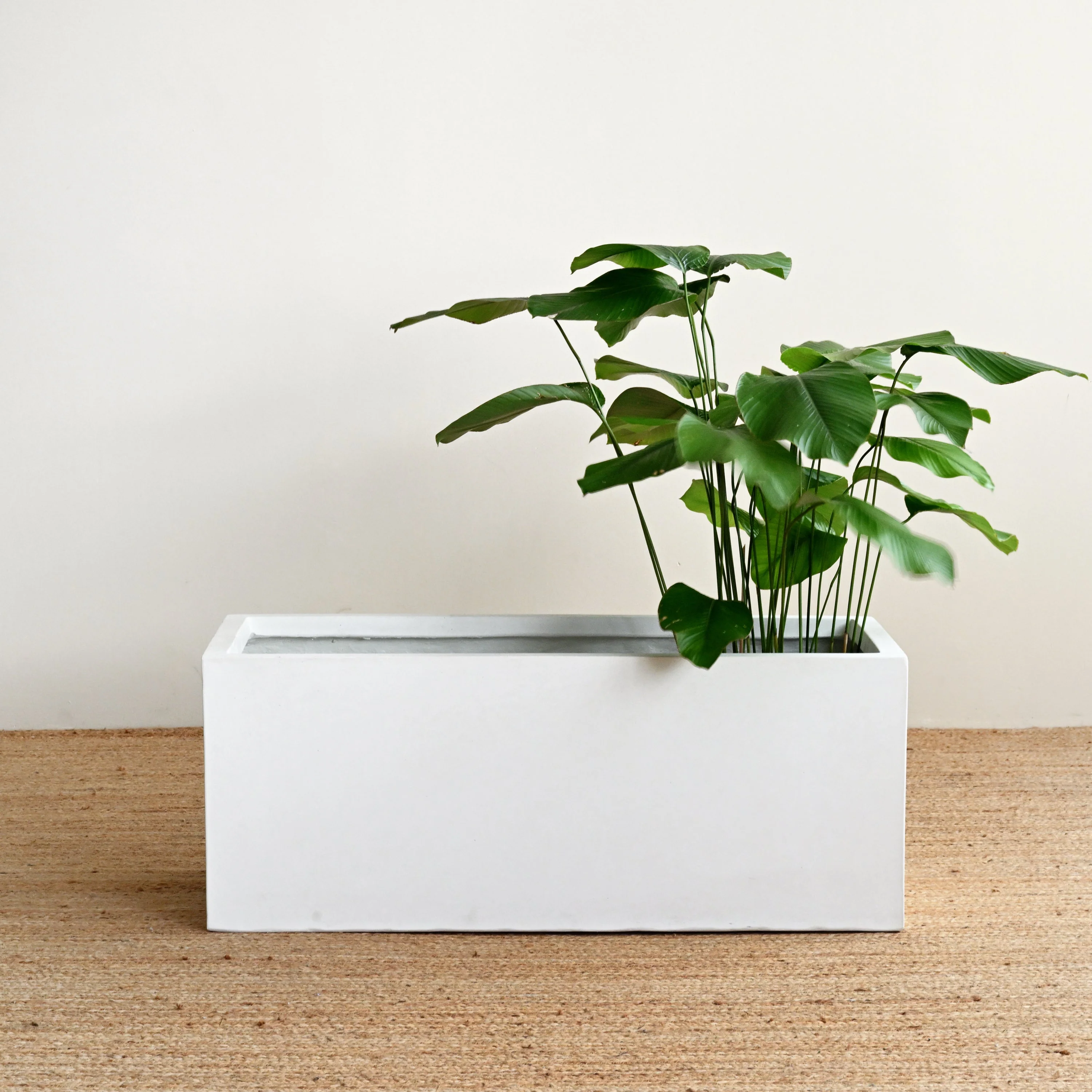 White Rectangle Planter Box - Image 4