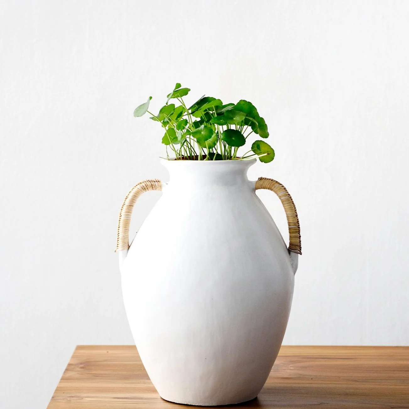 White Canggu Pottery Vase - Image 4
