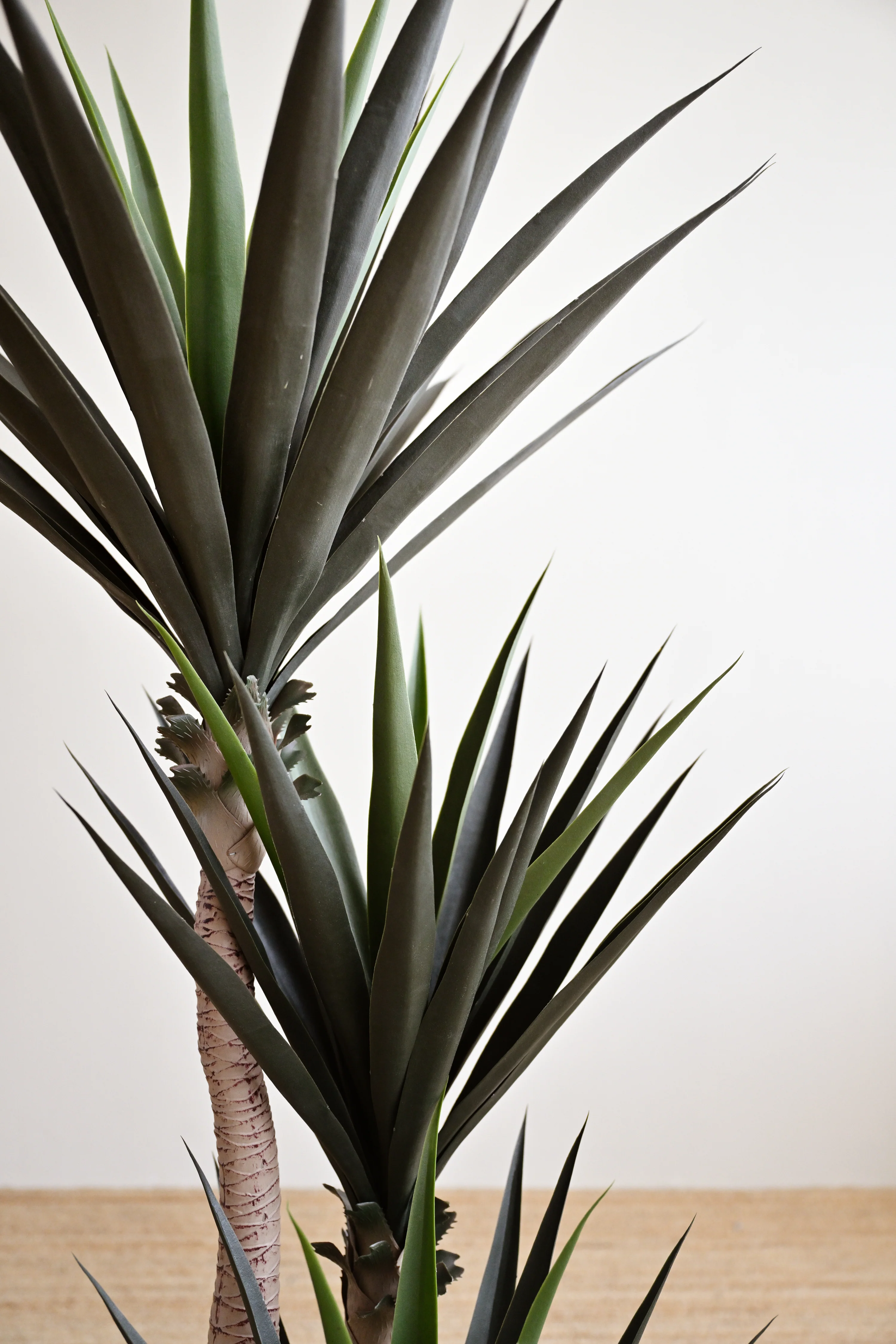 Yucca Tree with Thick Leaves - Faux - Image 5